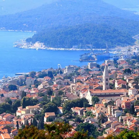 With Wifi Losinj, Losinj - 21010 Apartment *