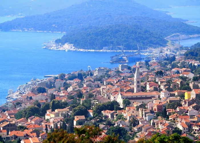 With Wifi Losinj, Losinj - 21010 דירה *